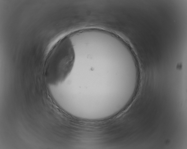 X0000115701167200912241516