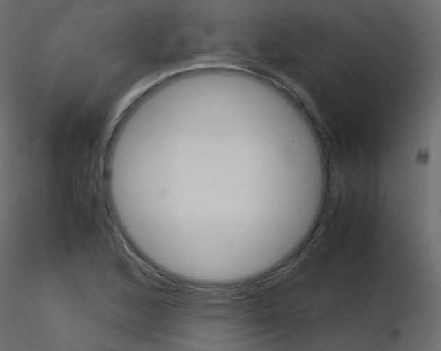 X0000115701168200912241516