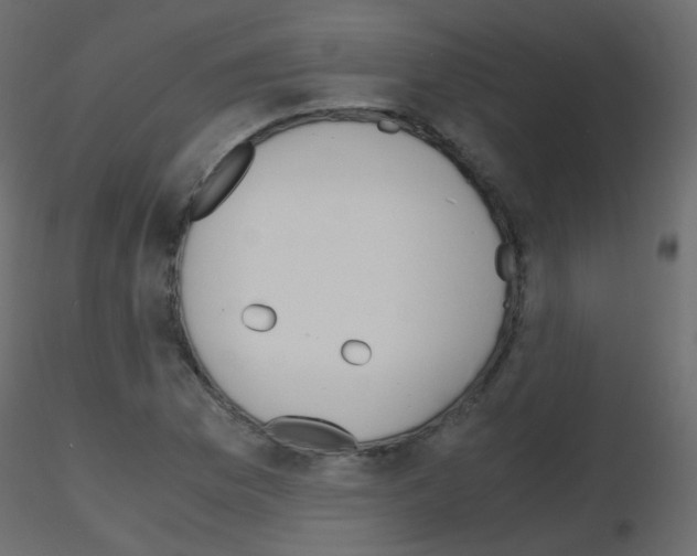 X0000115701169200912241516