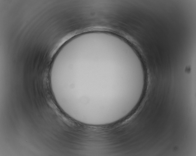 X0000115701170200912241516