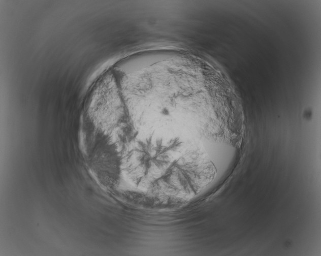 X0000115701171200912241516