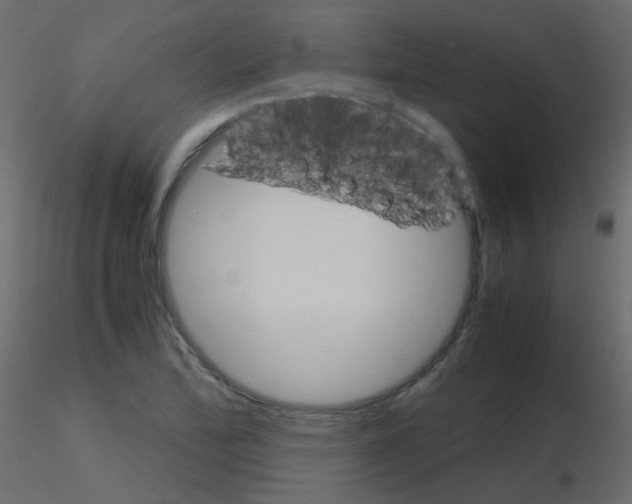 X0000115701172200912241516