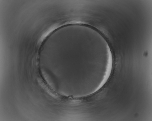 X0000115701173200912241516