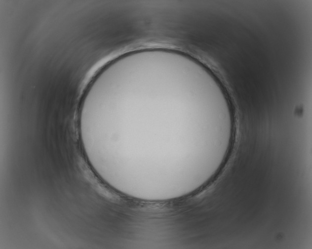 X0000115701174200912241516