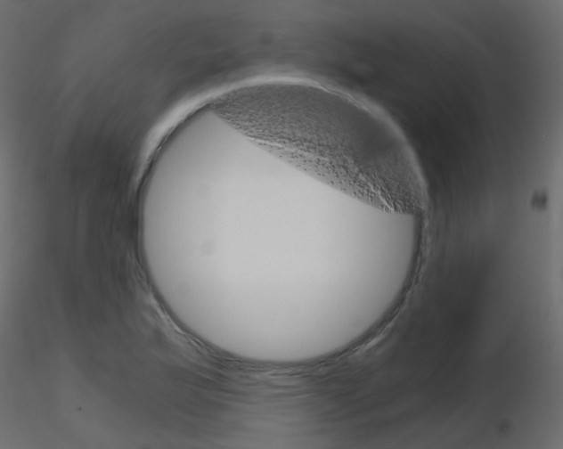 X0000115701175200912241516