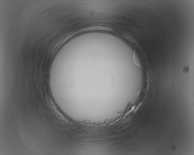 X0000115701177200912241516