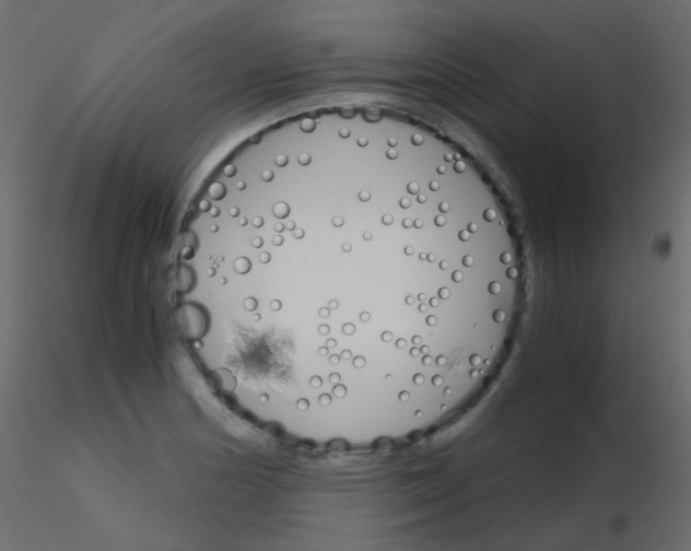 X0000115701178200912241516