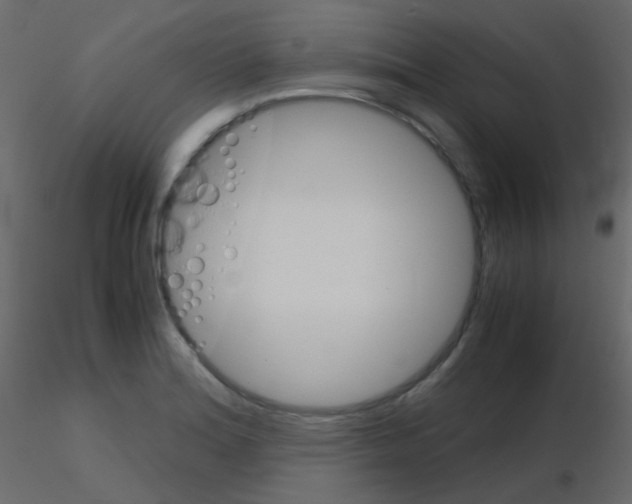 X0000115701180200912241516