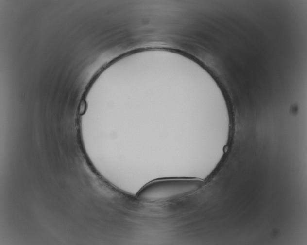 X0000115701181200912241516