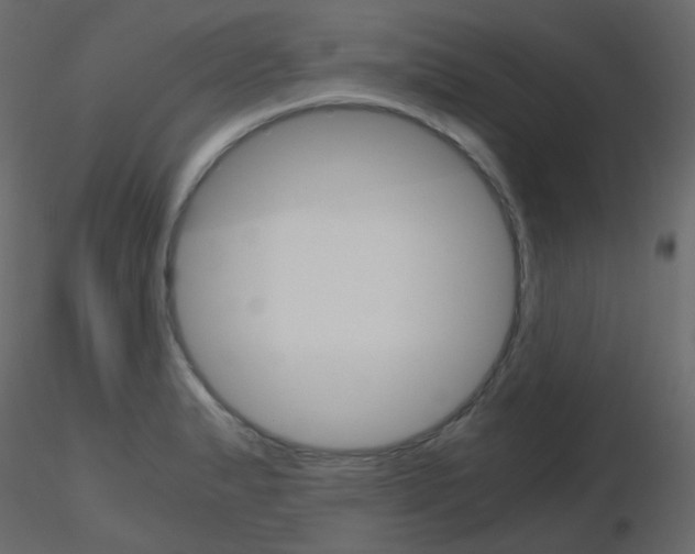 X0000115701183200912241516