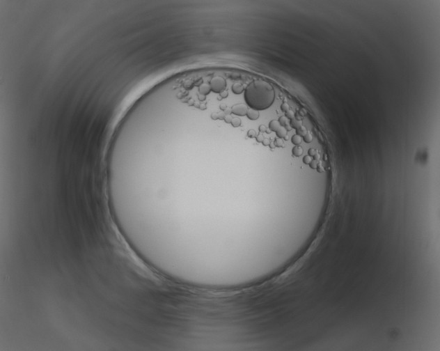 X0000115701184200912241516