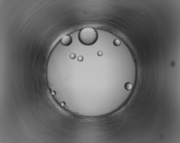 X0000115701186200912241516