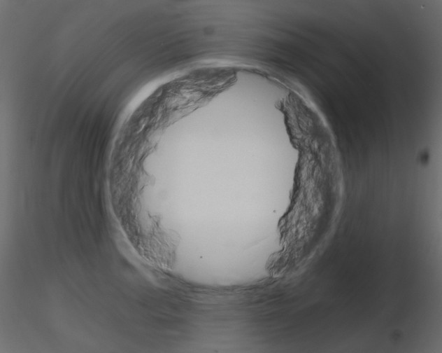 X0000115701187200912241516