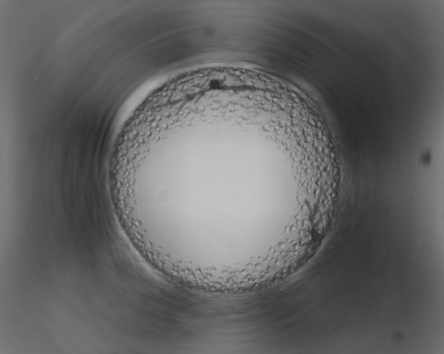 X0000115701188200912241516