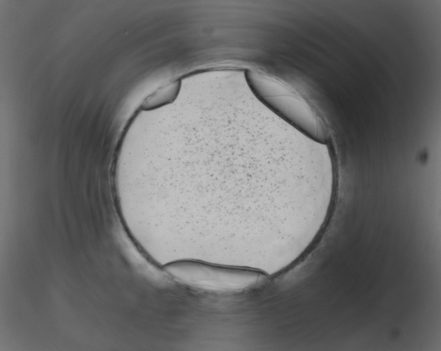 X0000115701189200912241516