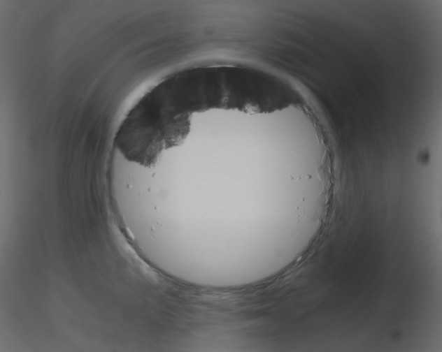 X0000115701191200912241516