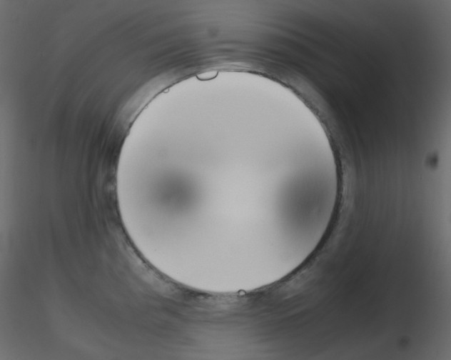 X0000115701193200912241516