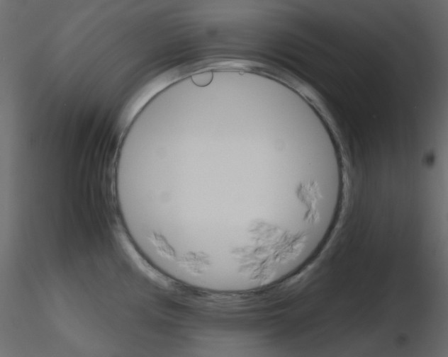 X0000115701194200912241516