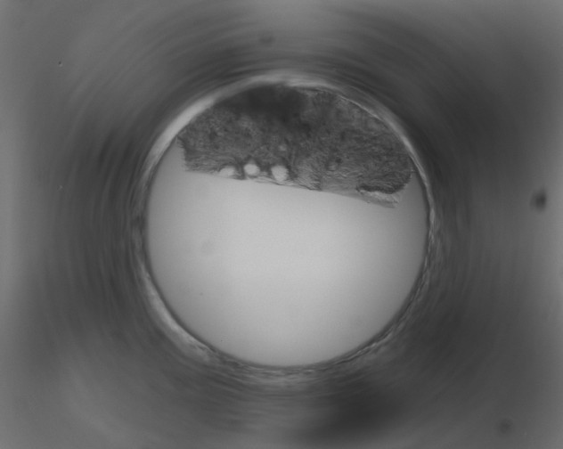 X0000115701195200912241516