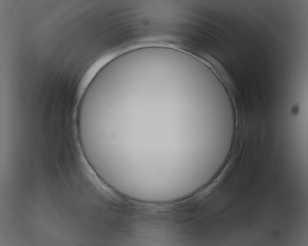 X0000115701196200912241516