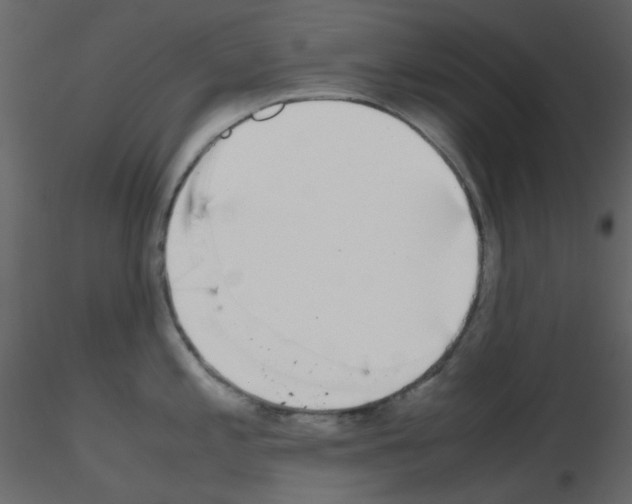 X0000115701197200912241516