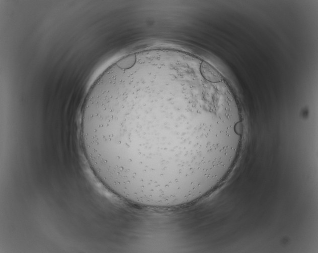 X0000115701198200912241516