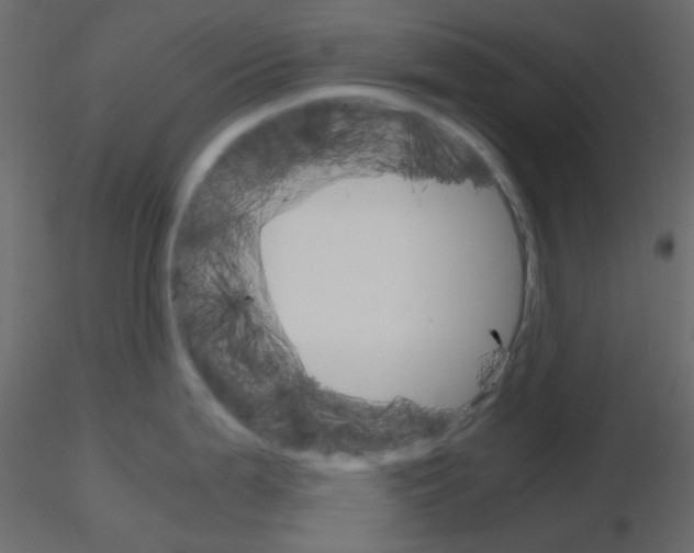 X0000115701199200912241516