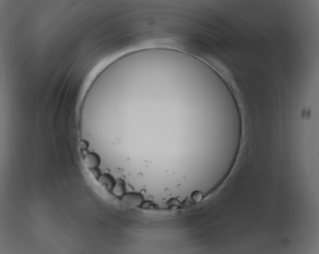 X0000115701200200912241516