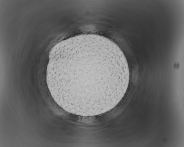 X0000115701201200912241515