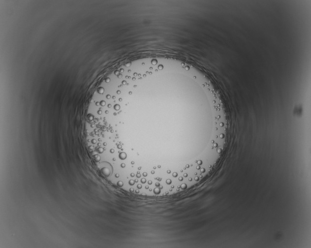 X0000115701202200912241515