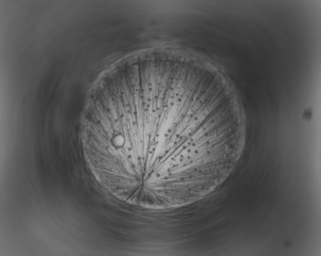 X0000115701203200912241515