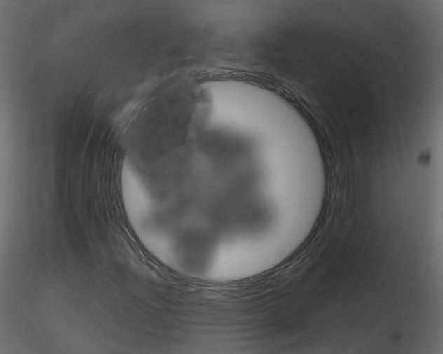 X0000115701204200912241515