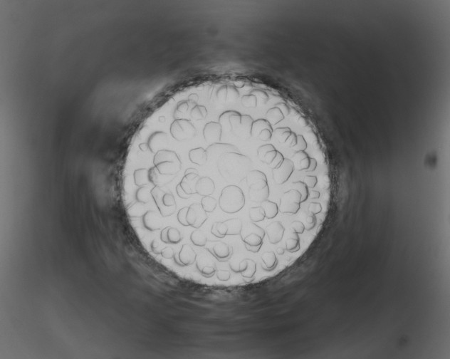 X0000115701205200912241515