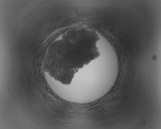 X0000115701206200912241515