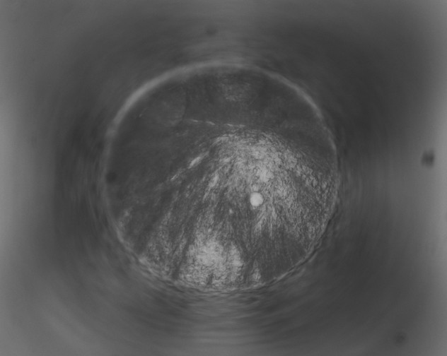 X0000115701207200912241515