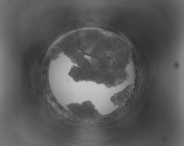 X0000115701208200912241515