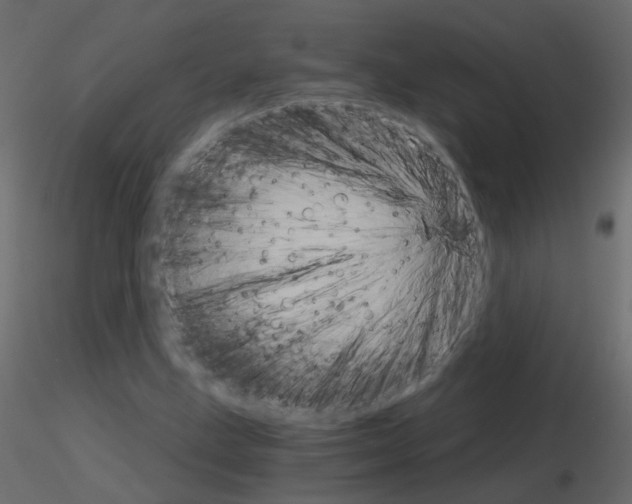 X0000115701211200912241515