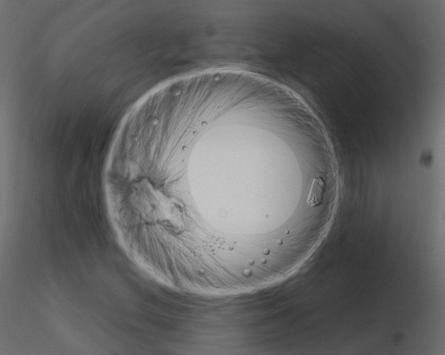 X0000115701212200912241515