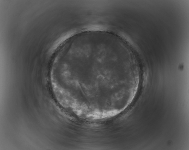 X0000115701213200912241515