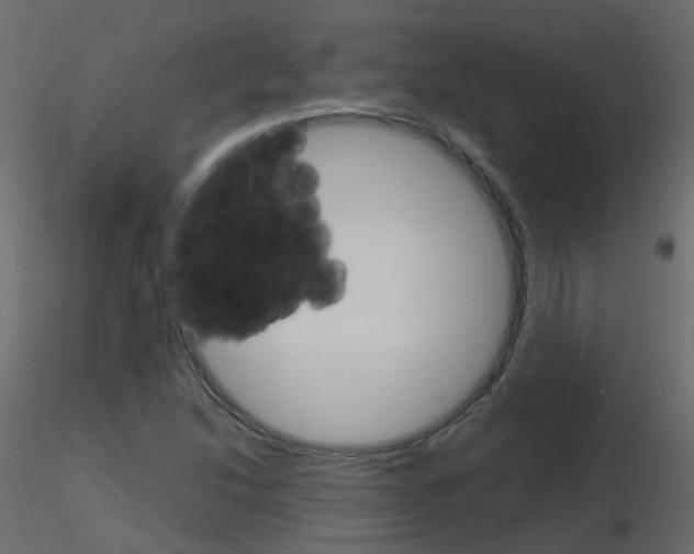 X0000115701214200912241515