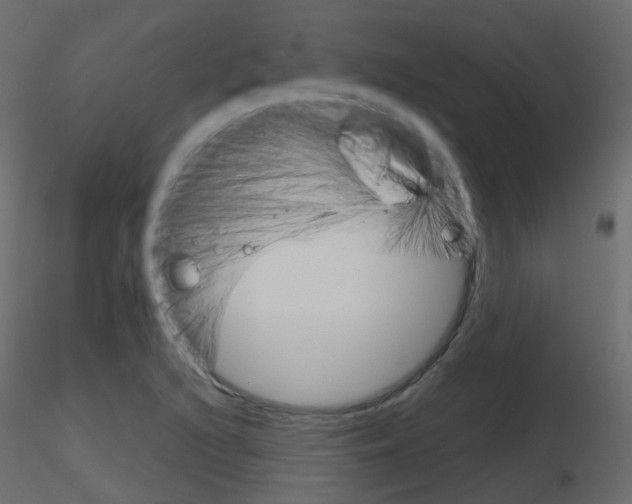 X0000115701216200912241515