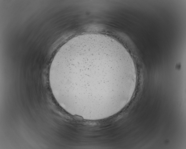 X0000115701217200912241516