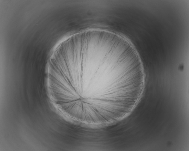 X0000115701219200912241516