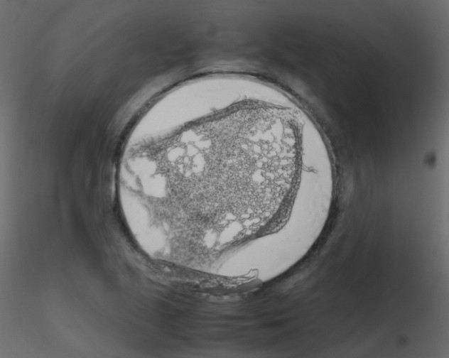 X0000115701221200912241516