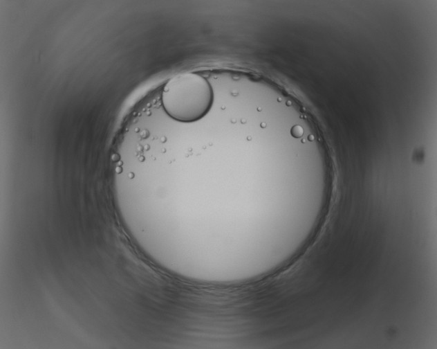 X0000115701222200912241516