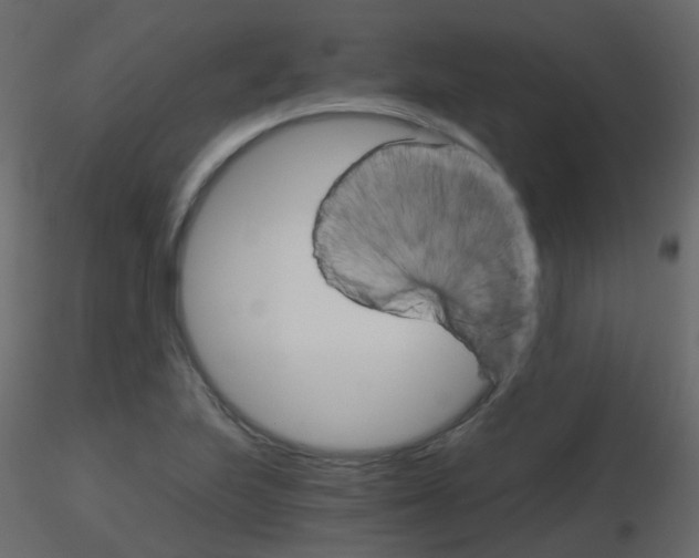 X0000115701223200912241516