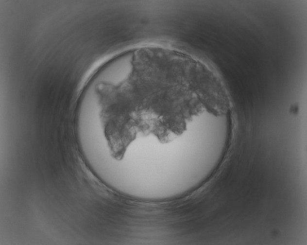 X0000115701224200912241516