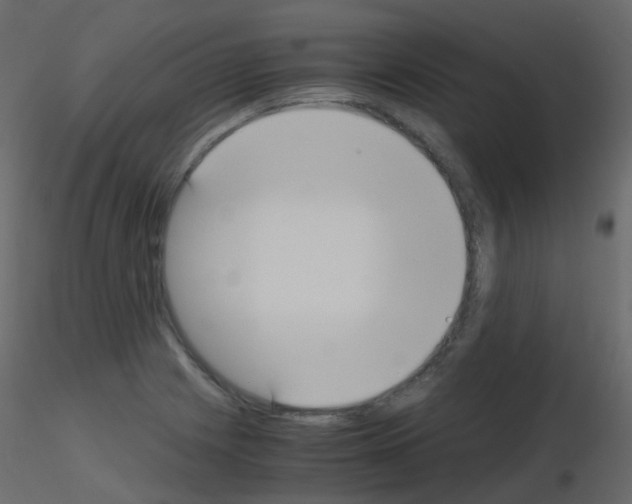 X0000115701225200912241516