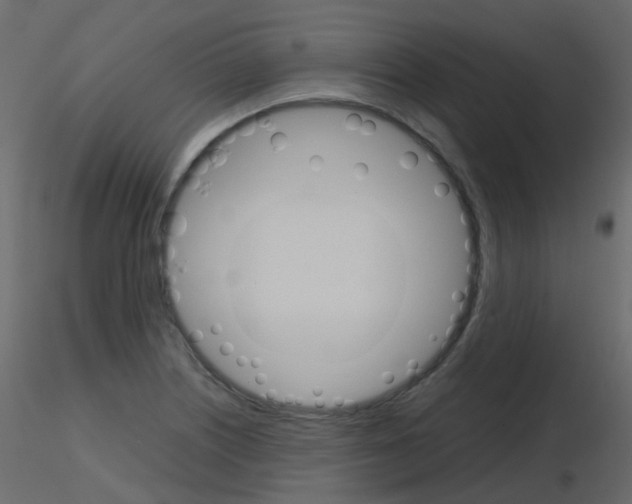 X0000115701226200912241516