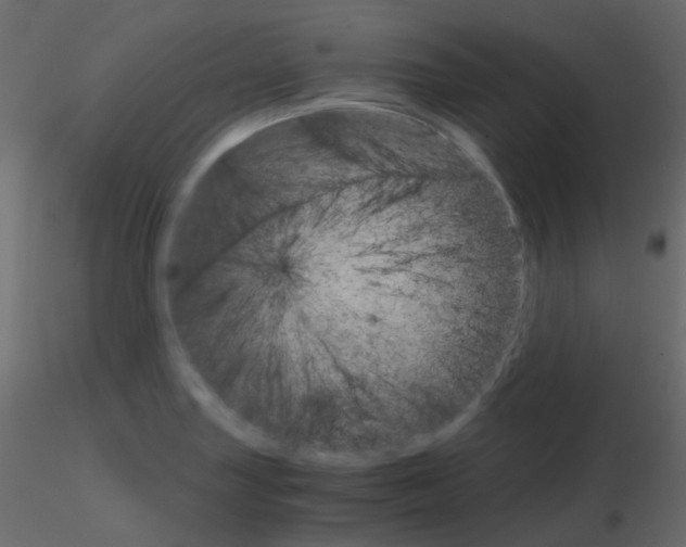 X0000115701227200912241516